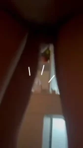 绿奴视角