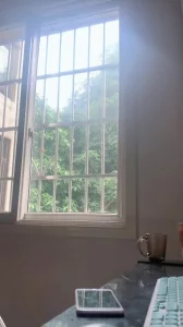少妇阳台偷情