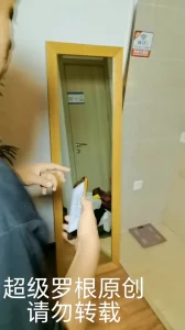 高颜值犹太脸少妇在镜子前跪舔，后入，骚叫不停